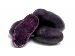 PATATA VIOLETA